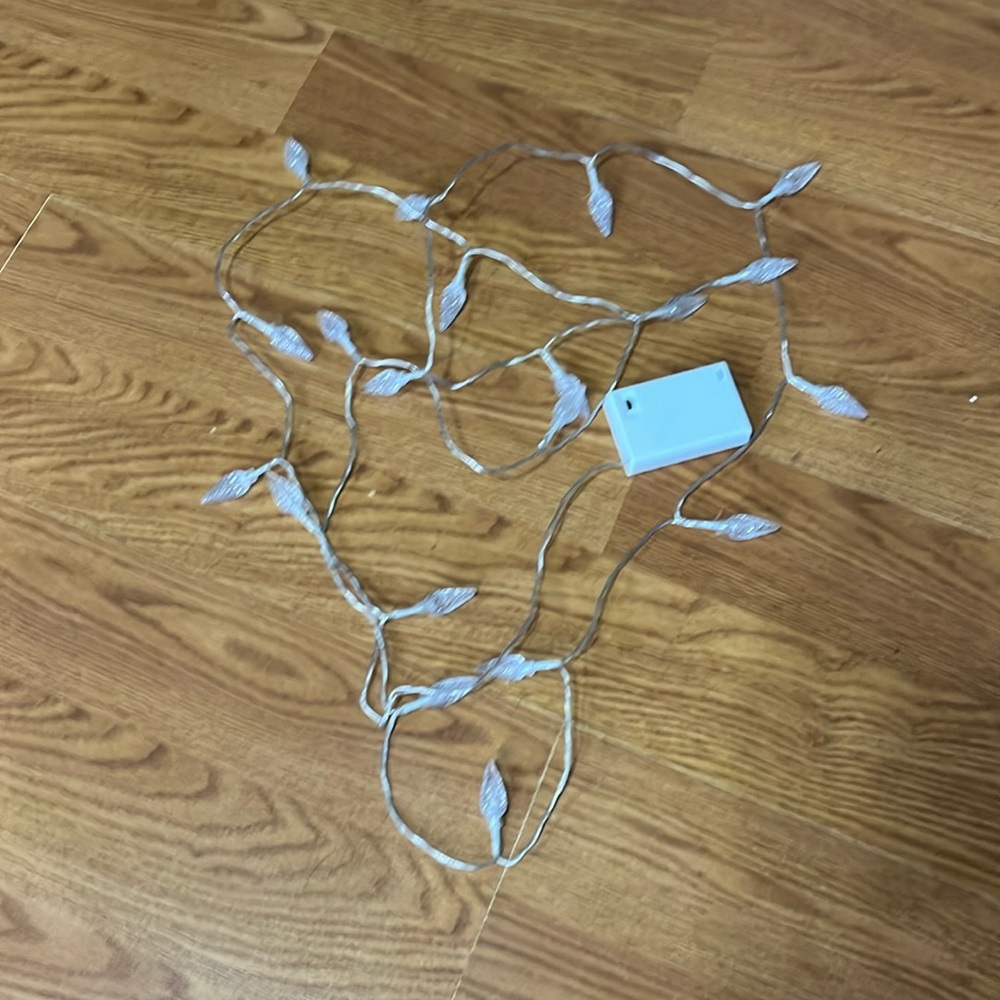 NWOT4th of July lights.Christmas lights.20 on the string. Battery operated